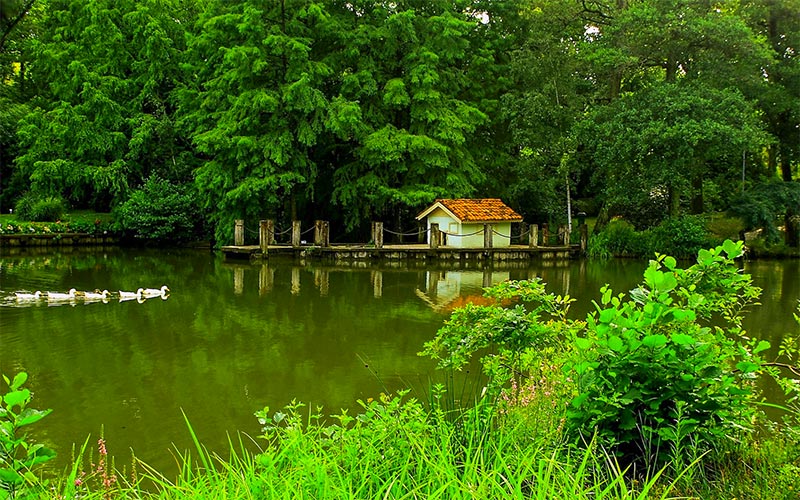 ataturk-arboretumu-nasil-gidilir