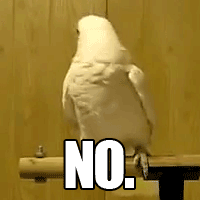 giphy-4