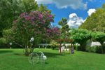 Event Garden Sarıyer Kır Düğünü Fiyatları İstanbul