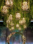 DOA Wedding Events Organizasyon Fiyatları İstanbul Kadıköy