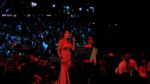 Deniz Çevik ve Orkestrası Düğün Orkestrası ve Müziği Fiyatları