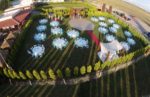 Let's Marry Kır Düğünü Fiyatları Çiğli İzmir