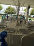 Lal Düğün Salonu Kır Düğünü Fiyatları Büyükçekmece İstanbul
