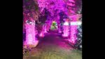 Rose Saloon Düğün Fiyatları İzmir Bornova