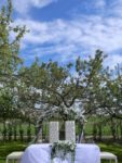 Perle Wedding Kır Düğünü Fiyatları Ankara Yenimahalle