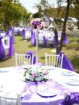 Perle Wedding Kır Düğünü Fiyatları Ankara Yenimahalle