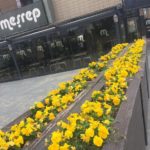 Meşrep Plaza Düğün Fiyatları Ankara Çankaya Eğlence Mekanları