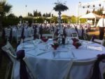 Moya Park Kır Düğünü Fiyatları İzmir Urla