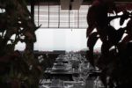 Litera Restaurant Düğün Fiyatları İstanbul Beyoğlu