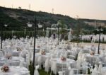 Laviva Garden Kır Düğün Fiyatları İstanbul Başakşehir