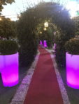 Keyiflipark Kır Düğünü Fiyatları İzmir Menemen