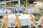 Palmiye Garden Kır Düğünü Fiyatları İzmir Buca