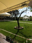 Taş Köprü Garden Kır Düğünü Fiyatları İzmir Buca