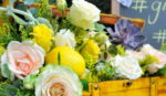 Hotel Les Ottomans İstanbul Luxury Wedding Fiyatları Beşiktaş İstanbul