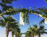 Radisson Blu Resort Spa Çeşme Düğün Fiyatları İzmir