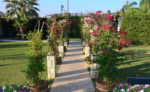 Şehr-i Garden Kır Düğünü Fiyatları İzmir Balçova