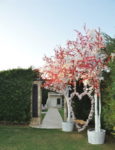 Şehr-i Garden Kır Düğünü Fiyatları İzmir Balçova