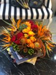 Ateş Gülü Çiçek Gelin Çiçeği Fiyatları Beşiktaş İstanbul