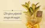 Yade Nikah Fidanı Nikah Şekeri ve Hediyelik Fiyatları İstanbul Üsküdar