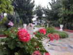 Çatalca Park Restaurant Düğün Fiyatları Çatalca İstanbul