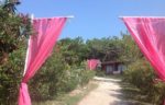 Woody Ville Garden Kır Düğün Fiyatları İstanbul Şile