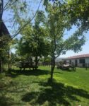 Özbek At Çiftliği Kır Düğünü Fiyatları Keçiören Ankara