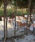 Alaş Kımız Çiftliği Kır Düğünü Fiyatları Kemalpaşa İzmir