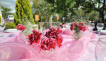Çakıl Wedding Kır Düğünü Fiyatları Çankaya Ankara