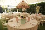 Cess Wedding Kır Düğünü Fiyatları Beykoz İstanbul