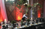 Setup Catering Düğün Organizasyonu Fiyatları Çekmeköy İstanbul