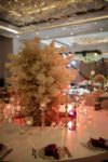 Hilton İstanbul Maslak Otelde Düğün Fiyatları Sarıyer İstanbul