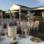 Atiz Park Menemen Kır Düğünü Fiyatları İzmir