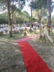 Yaprak Köy Wedding Hall Kır Düğünü Fiyatları Aliağa İzmir