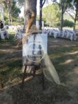Yaprak Köy Wedding Hall Kır Düğünü Fiyatları Aliağa İzmir