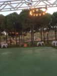 Yaprak Köy Wedding Hall Kır Düğünü Fiyatları Aliağa İzmir