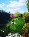 Beyler Garden Paradise Kır Düğünü Mekanları Fiyatları Pendik İstanbul