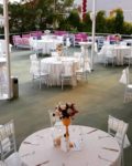 Elite Garden Davet Kır Düğünü Fiyatları Avcılar İstanbul