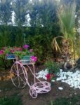 Aura Wedding Kır Düğünü Fiyatları Balçova İzmir