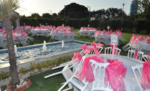 Keyf Park Event More Kır Düğünü Fiyatları Balçova İzmir