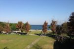 Rönepark Yeşilyurt Davet Fiyatları Bakırköy İstanbul