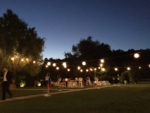 Kemer Botanik Park Kır Düğünü Fiyatları İstanbul Eyüp