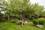 Le Parc De Mariage by Çağteks Kır Düğünü Fiyatları Zeytinburnu İstanbul