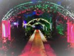 Keyf Park Event More Kır Düğünü Fiyatları Balçova İzmir