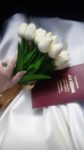 Kınık Evlendirme Dairesi Nikah Salonu Fiyatları İzmir