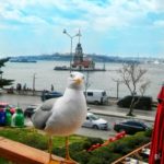 Filizler Köftecisi Nikah Sonrası Yemek & Eğlence Fiyatları Üsküdar İstanbul