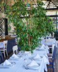 Yelken Balık Seyfi Restaurant Nikah Sonrası Yemek & Eğlence Fiyatları Çankaya Ankara
