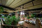 Yelken Balık Seyfi Restaurant Nikah Sonrası Yemek & Eğlence Fiyatları Çankaya Ankara