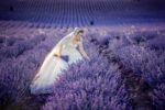 Cesur Erten Fotoğraf Video Etimesgut Dış Çekim Düğün Fotoğrafçısı Fiyatları Ankara