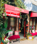 Velvet Balat Nişan ve Söz Fiyatları Fatih İstanbul