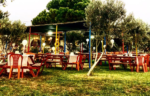 Taş Kemer Söz ve Nişan Fiyatları İzmir Kınık